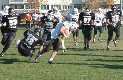 bwild boars - panteri iz igre